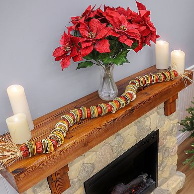 National Tree Company 4-ft. Dried Citrus & Tomato Artificial Garland