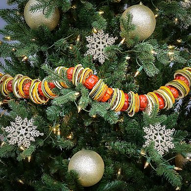 National Tree Company 4-ft. Dried Citrus & Tomato Artificial Garland