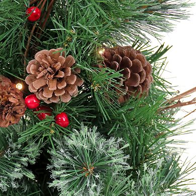 National Tree Company Pre-Lit Glistening Pine Red Berries & Twig Artificial Garland