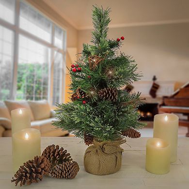 National Tree Company Pre-Lit Glistening Pine Red Berries & Twig Artificial Garland