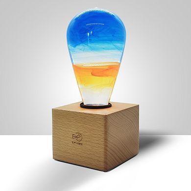 Handmade Resin Fire Light Bulb