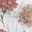 Pink Floral