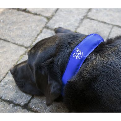 Arf Pets Cooling Dog Collar, Non-Toxic Dog Cooling & Relieves Heat Stress