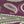 Purple Paisley