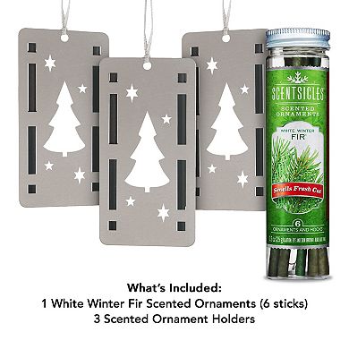 National Tree Company Scentsicles 9-Piece Scented Ornament and Refill Set