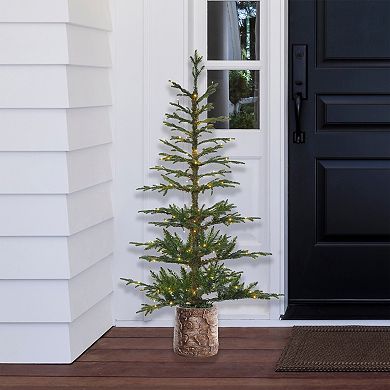 5 Foot Pre-lit Timberland Fir Potted Christmas Tree