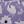 Purple Floral