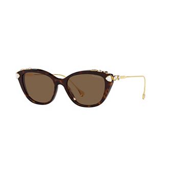 Women's Swarovski 0SK6010 53mm Cat Eye Sunglasses