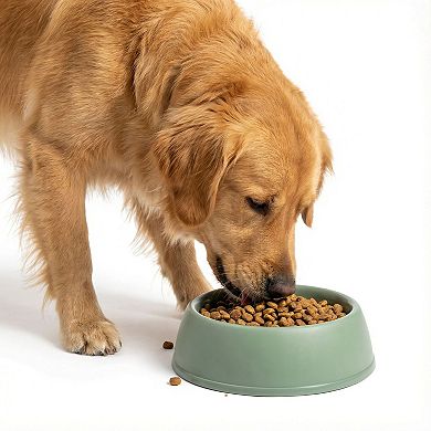 SportPet Large Pet Bowl