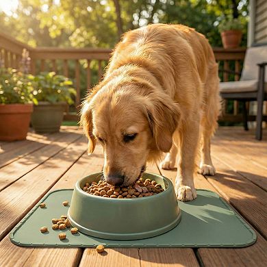 Sportpet Silicone Pet Mat