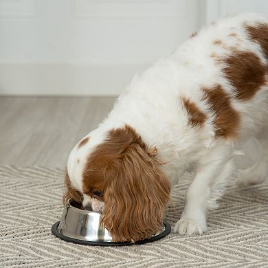 SportPet Silver Stainless Steel Non-Skid Pet Bowl