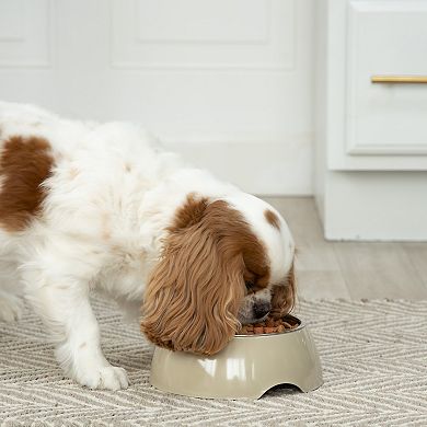 SportPet Removable Steel Insert Pet Bowl