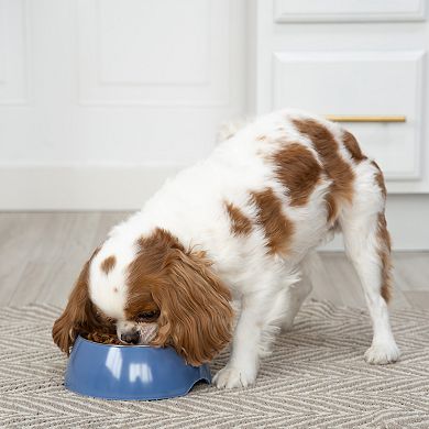 SportPet Removable Steel Insert Pet Bowl