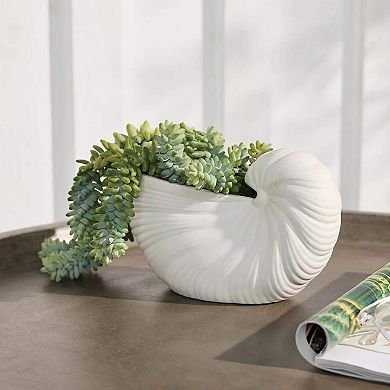 Everyday Decor Seashell Planter Table Decor