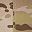 Multicam Arid And Tan