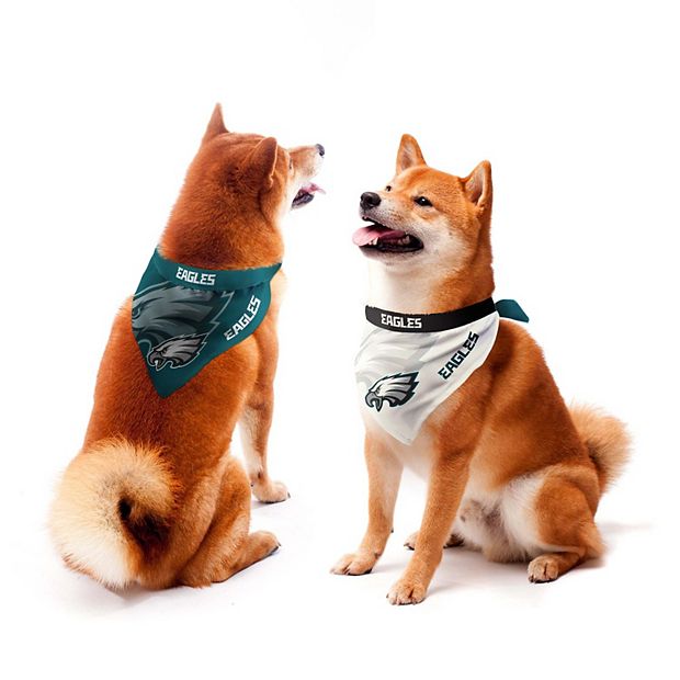 Eagles bandana shop for dogs