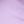 Lilac Flower