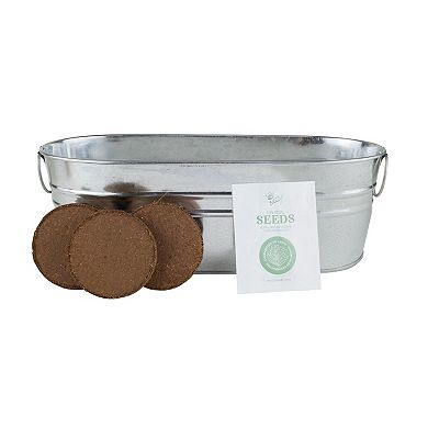 Buzzy Seeds My First Garden Marigold & Tomato Windowsill Grow Kit