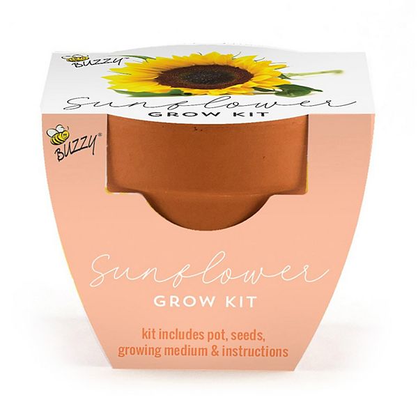 Buzzy Seeds Terra Cotta Mini Grow Pot Sunflower