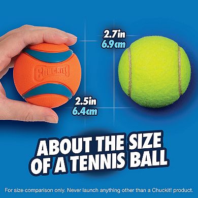Chuckit! Ultra Ball Dog Toy 2-Pack Set