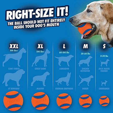Chuckit! Ultra Ball Dog Toy 2-Pack Set