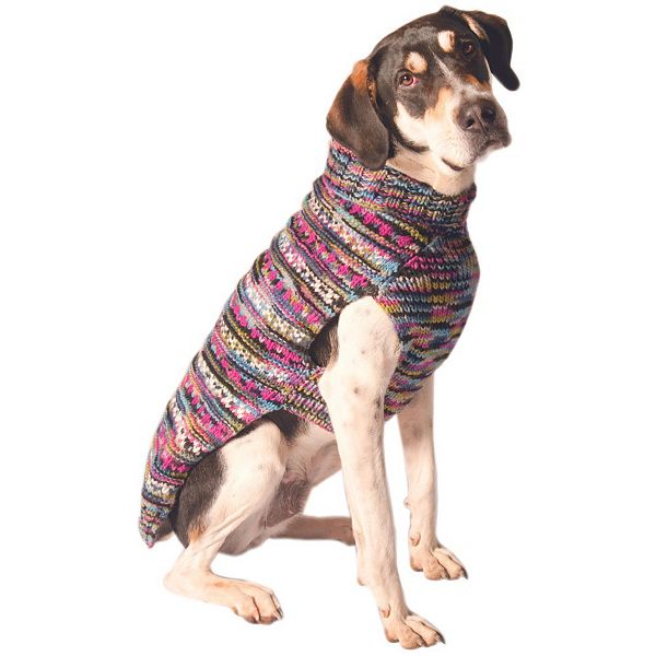 Kohls store dog sweater