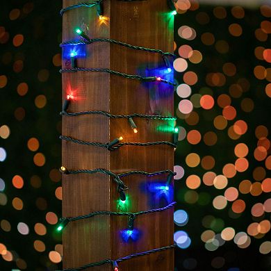 Novelty Lights 100 LED Christmas Mini Light Set, Wide Angle (5MM) Outdoor Lighting Party Patio String Lights