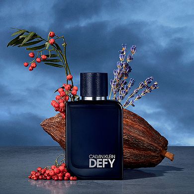 Calvin Klein Defy Parfum for Men