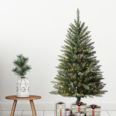 4 Foot Dumont Fir Pre-lit with Warm White LED Lights