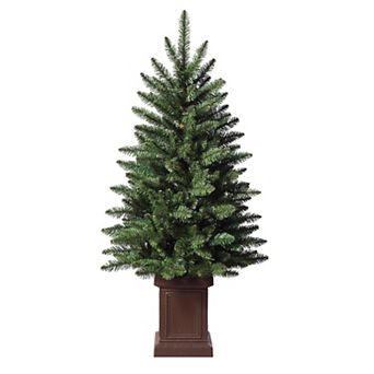 3.5 Foot Berkley Fir Tree, Unlit in Brown Pot