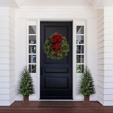 3.5 Foot Berkley Fir Tree, Unlit in Brown Pot