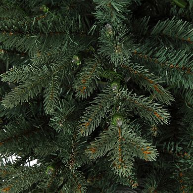 4.5 Foot Barcelona Blue Spruce Potted Tree