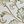 Sage Scroll Medallion
