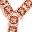 Rose Gold Champagne