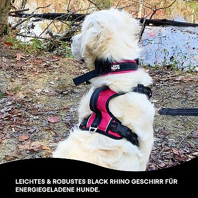 Adjustable Dog Harness with Mesh Padded Vest with 2 Chest and Back Leash Attachments