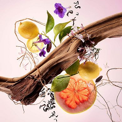 Find Comfort Body & Hair Fragrance Mist with Niacinamide