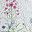 White Multi