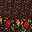 Black Red