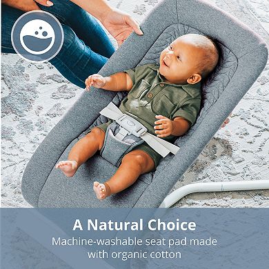 Chicco E-Motion Auto-Glider & Bouncer