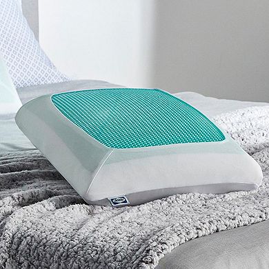 Sealy Essentials Cooling Gel Memory Foam 2-pack Pillow Set