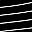 Black Stripe