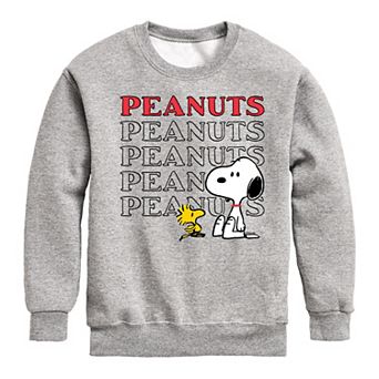 Boys 8-20 Peanuts Snoopy and Woodstock Fleece Sweatshirt