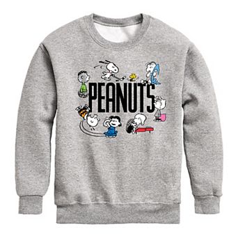 Boys 8-20 Peanuts Group Fleece Sweatshirt