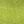 Celery