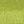 Celery