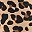 Tan Wild Cheetah