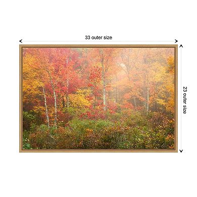 Soft Fall Forest Pallet by Patrick Zephyr Framed Canvas Wall Art Print
