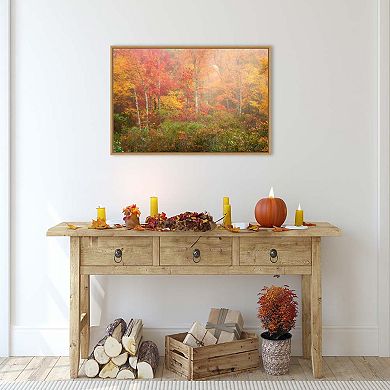 Soft Fall Forest Pallet by Patrick Zephyr Framed Canvas Wall Art Print