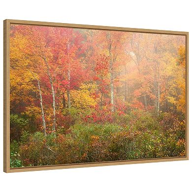 Soft Fall Forest Pallet by Patrick Zephyr Framed Canvas Wall Art Print