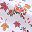 Fall Foliage